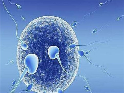 专业拉拉代怀助孕费用多少